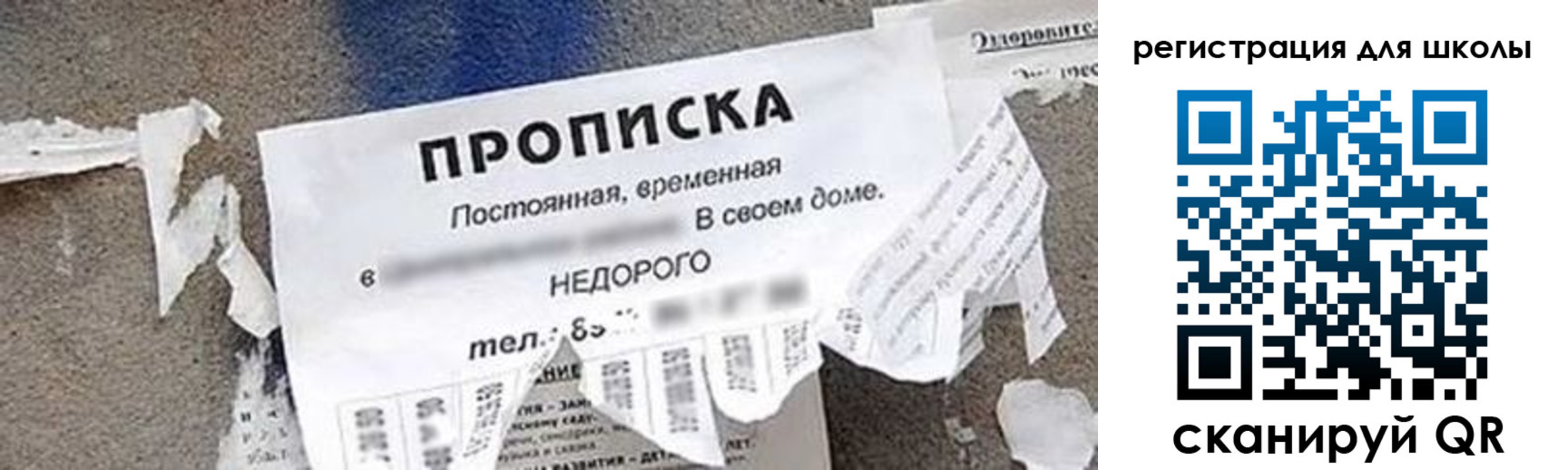 временная регистрация поиск в Брянской области